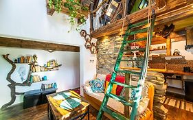 Cucu's Nest
